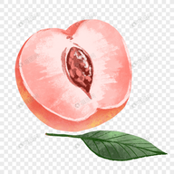 91com官方版APP应用